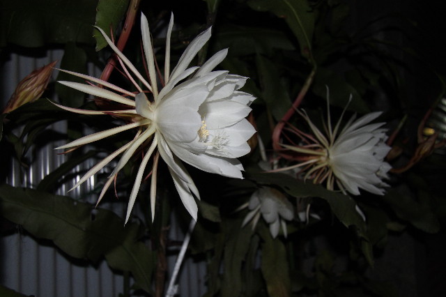 ファイル 1406-3.jpg