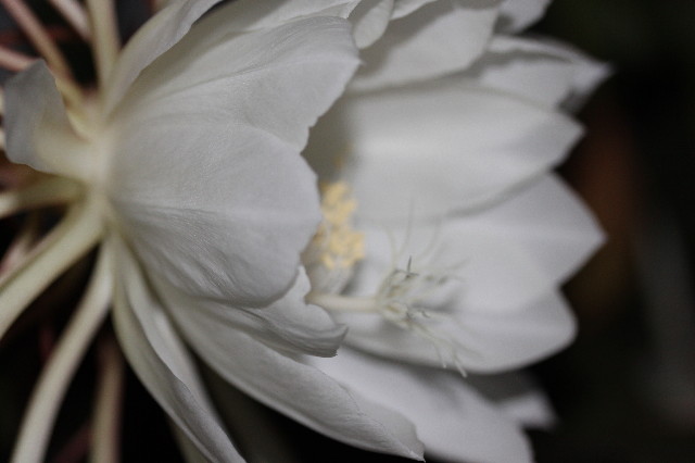 ファイル 1406-4.jpg