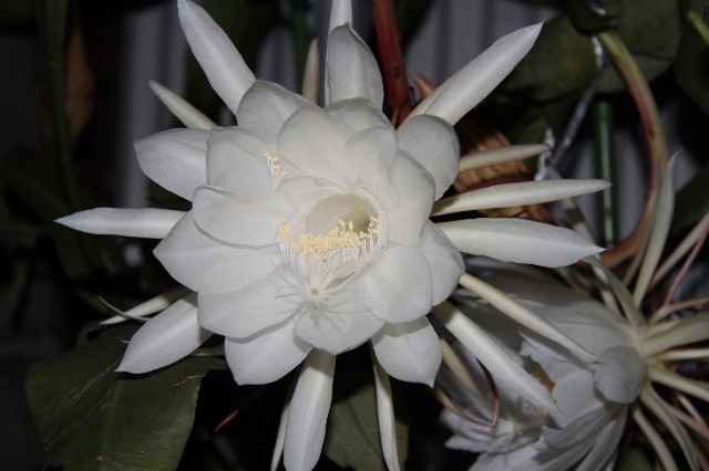 ファイル 1407-3.jpg