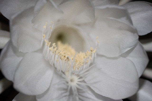 ファイル 1407-4.jpg