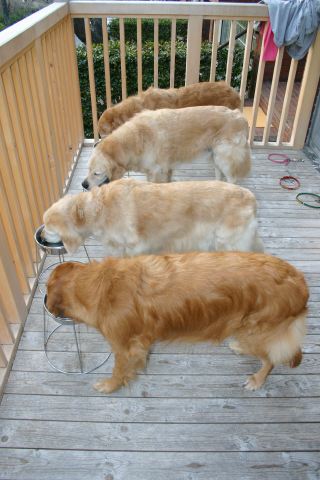 ファイル 141-1.jpg