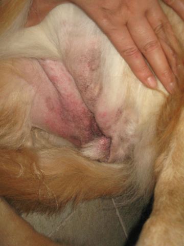 ファイル 141-4.jpg