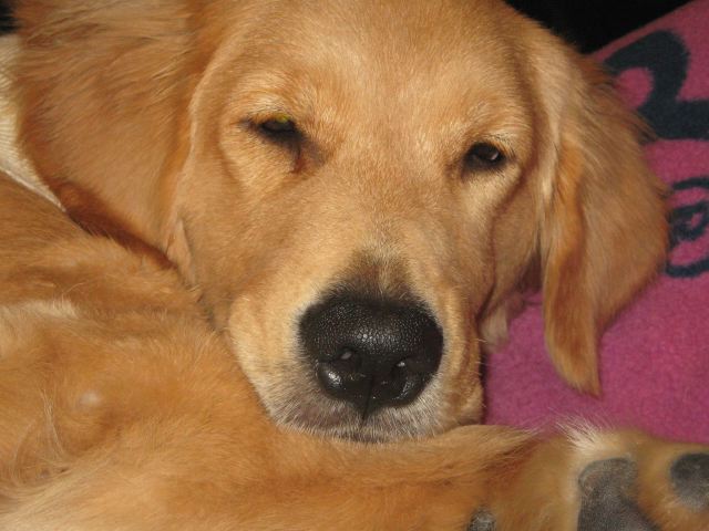 ファイル 141-5.jpg