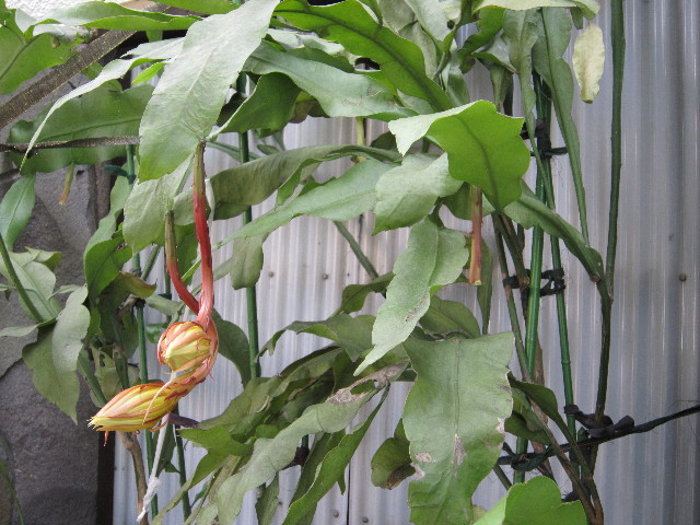 ファイル 1410-5.jpg