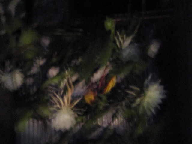 ファイル 1411-5.jpg