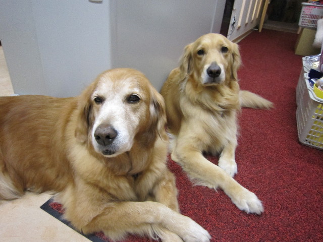 ファイル 1414-2.jpg