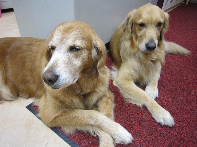 ファイル 1414-3.jpg