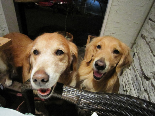 ファイル 1414-4.jpg