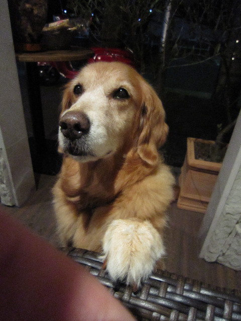 ファイル 1414-5.jpg