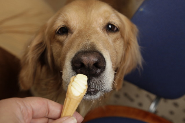 ファイル 1415-3.jpg