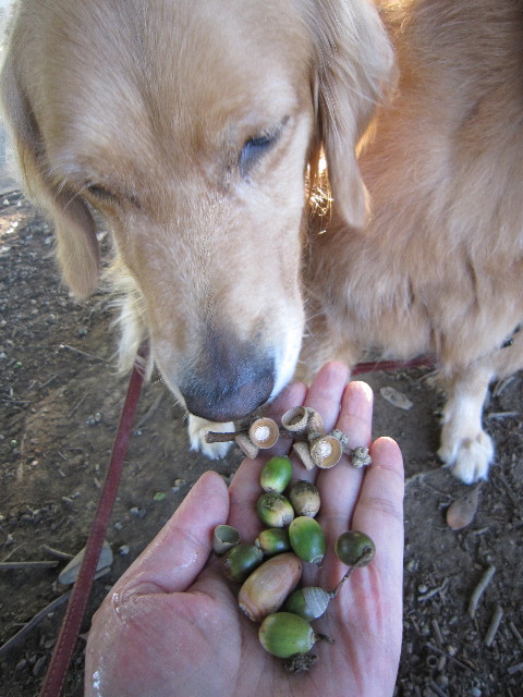 ファイル 1416-2.jpg