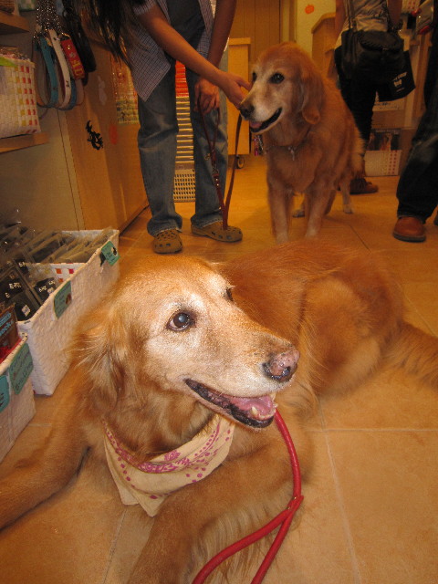 ファイル 1418-3.jpg