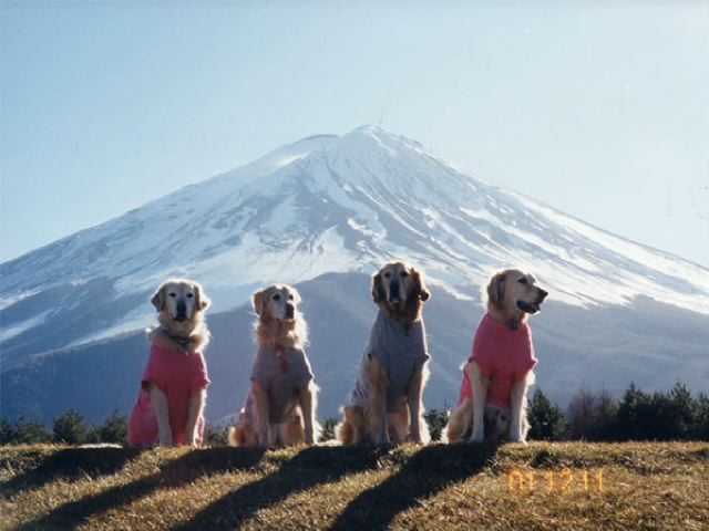 ファイル 142-1.jpg