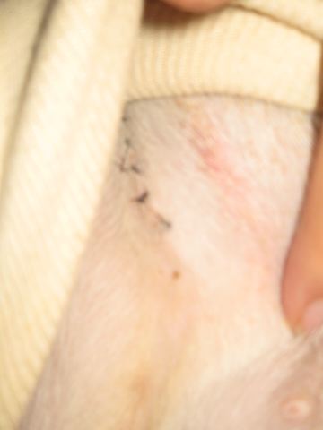 ファイル 142-4.jpg