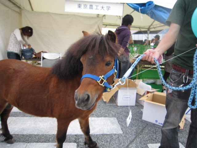 ファイル 1421-5.jpg