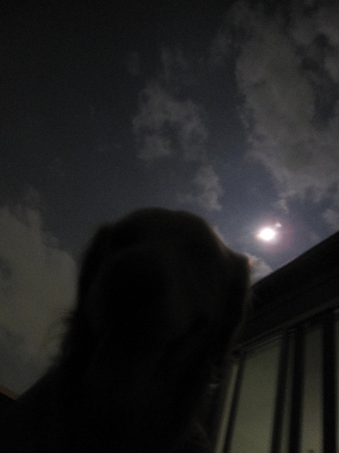 ファイル 1422-2.jpg