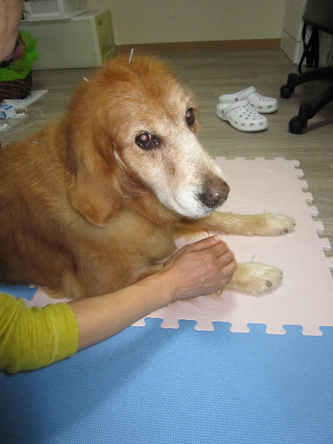 ファイル 1425-2.jpg