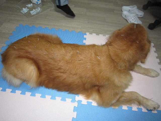 ファイル 1425-3.jpg