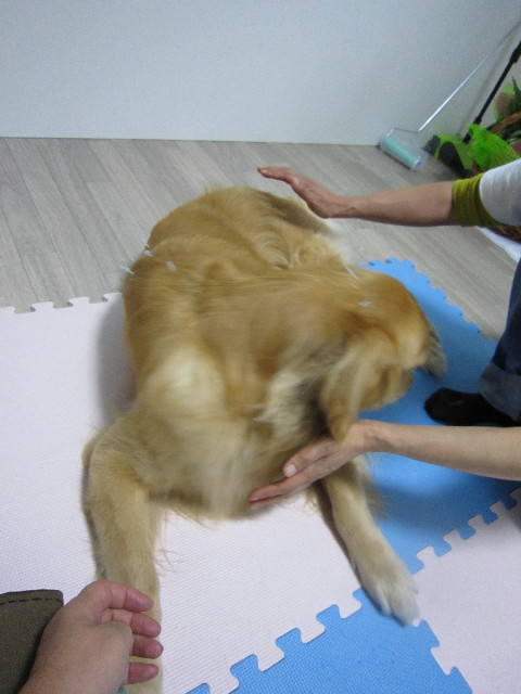 ファイル 1425-5.jpg