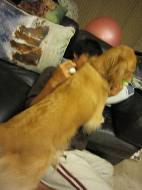 ファイル 1426-4.jpg