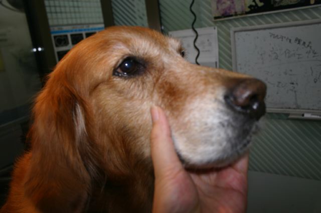 ファイル 143-5.jpg