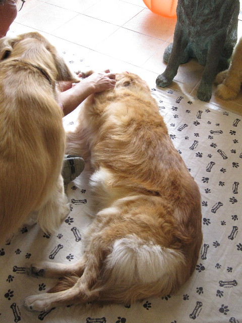 ファイル 1435-2.jpg