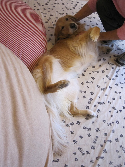 ファイル 1435-3.jpg