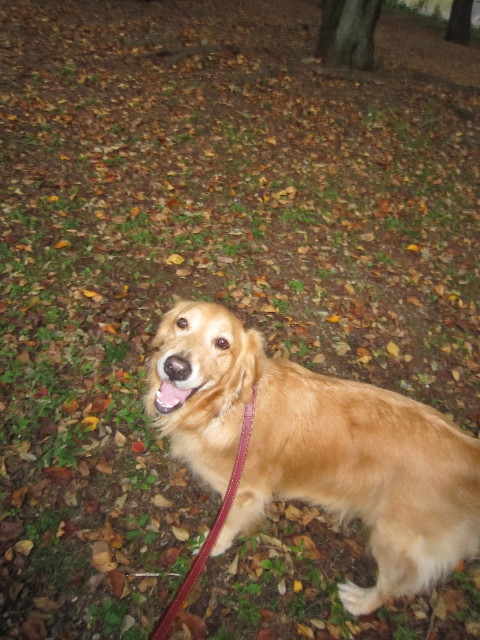 ファイル 1438-2.jpg