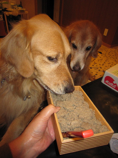 ファイル 1439-4.jpg