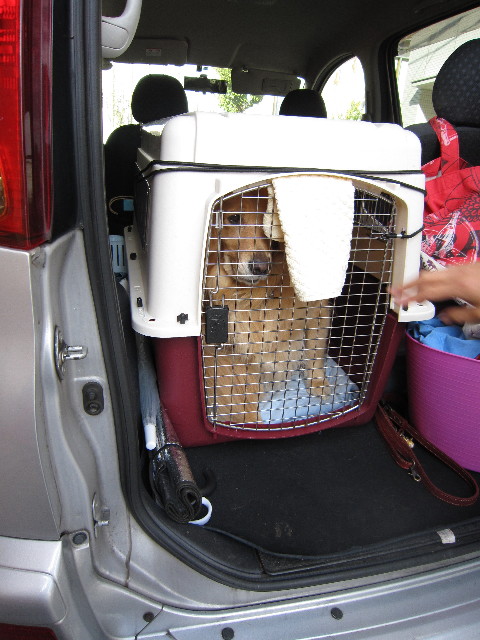 ファイル 1440-2.jpg