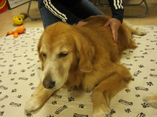 ファイル 1446-2.jpg