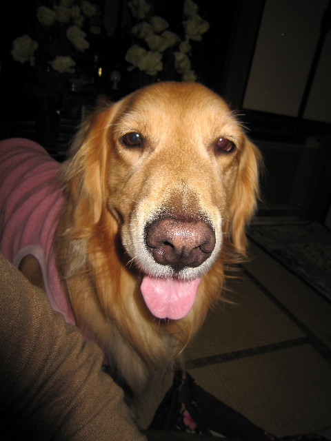 ファイル 1447-4.jpg