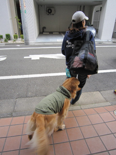 ファイル 1449-2.jpg