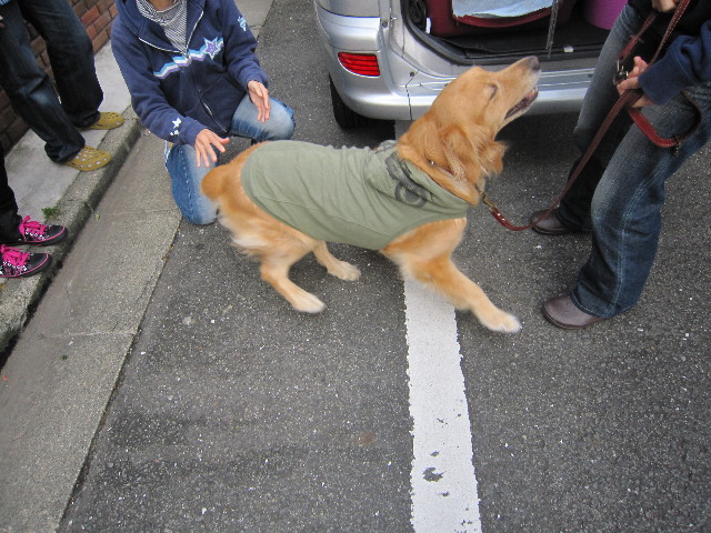 ファイル 1449-3.jpg