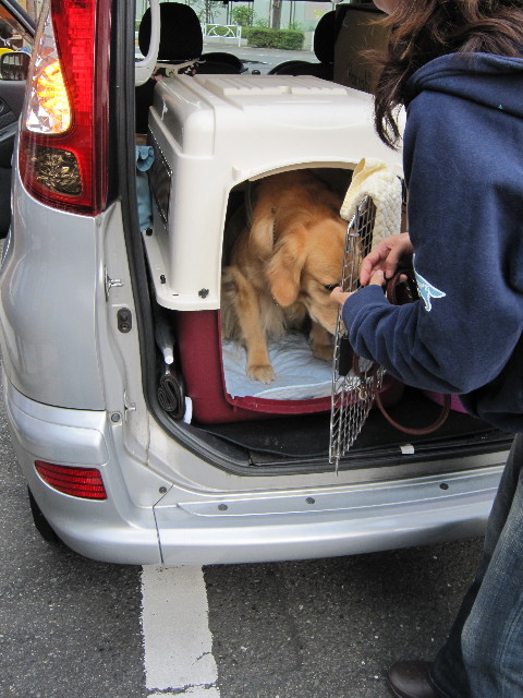 ファイル 1449-4.jpg