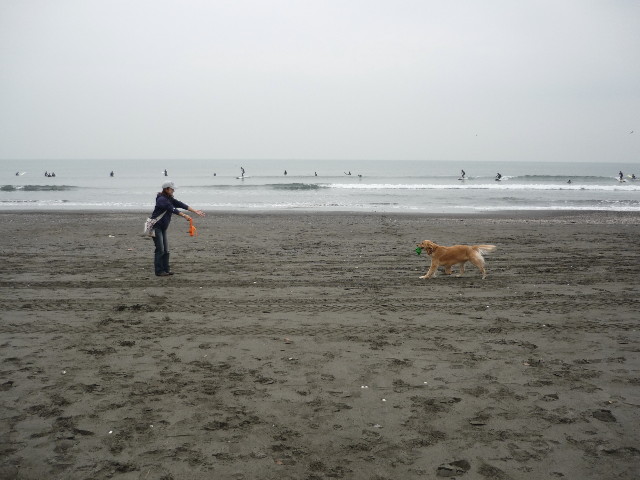 ファイル 1450-1.jpg