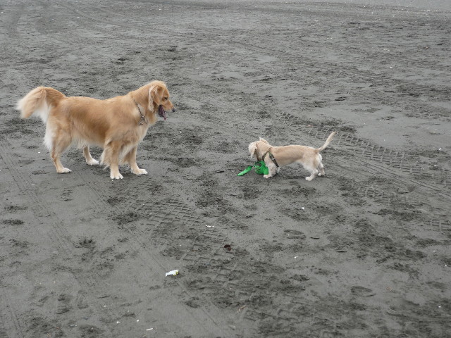 ファイル 1450-2.jpg