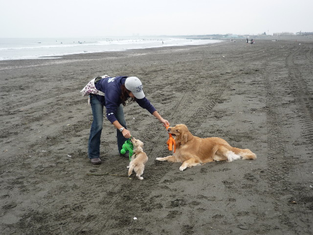 ファイル 1450-3.jpg