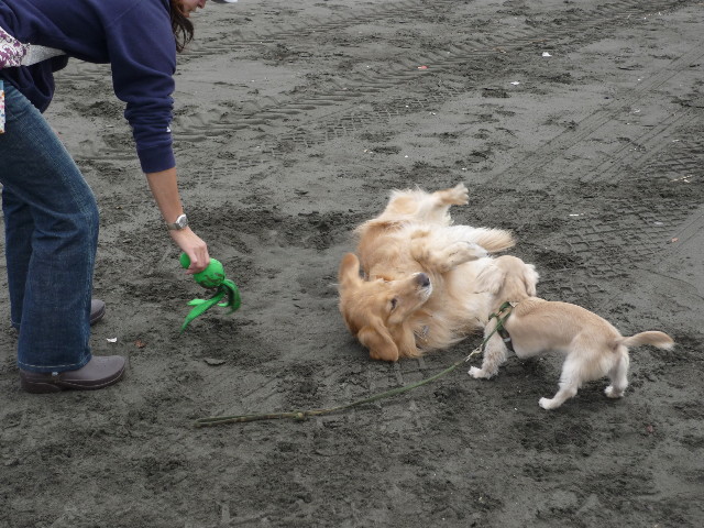 ファイル 1450-4.jpg