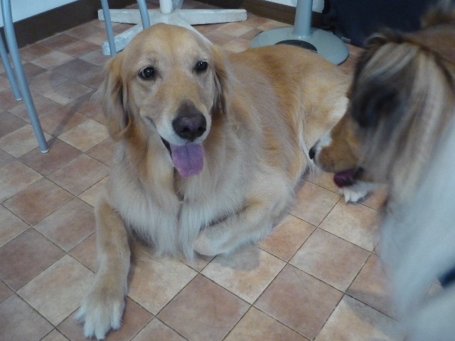 ファイル 1451-4.jpg