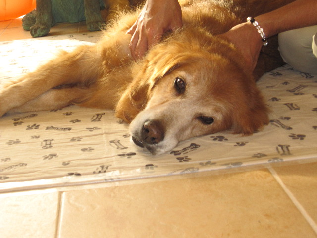 ファイル 1452-4.jpg