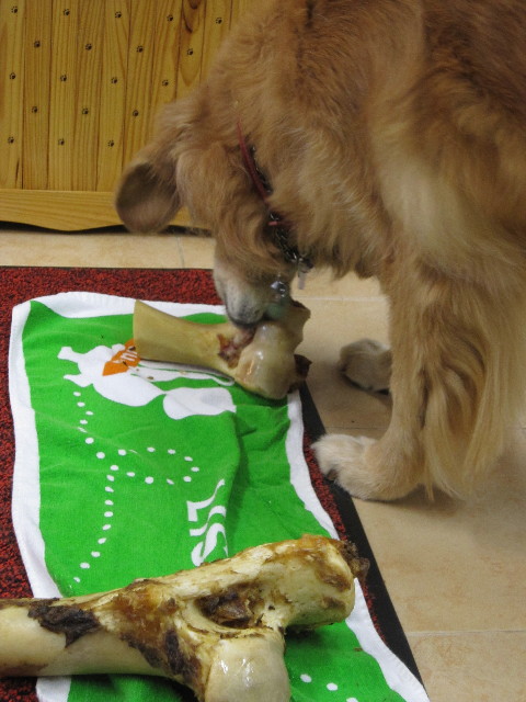 ファイル 1452-5.jpg