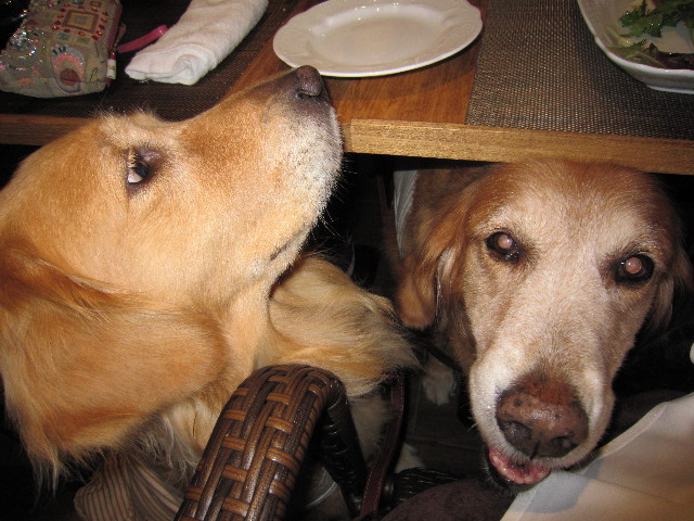 ファイル 1454-3.jpg