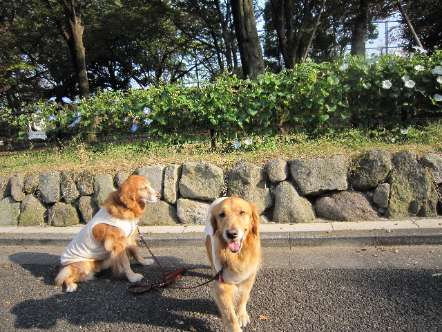 ファイル 1455-3.jpg