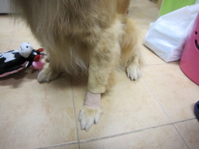 ファイル 1456-4.jpg