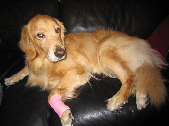 ファイル 1457-2.jpg