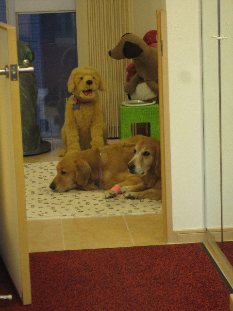 ファイル 1457-3.jpg