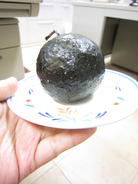 ファイル 1457-4.jpg