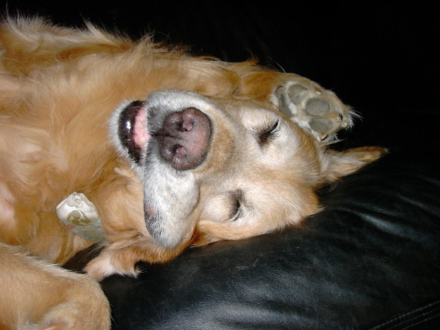 ファイル 1458-3.jpg