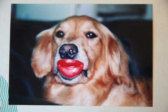 ファイル 1458-4.jpg